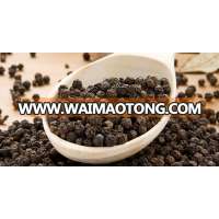 Black pepper- Best quality and best selling for sales