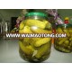 3-6 cm PICKLED BABY CUCUMBER